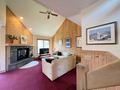 132 Sugar Brook Rd unit A3, Peru, VT 05152 - photo 4