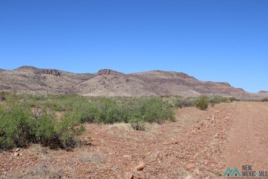 0 Saguaro Rd SE unit 20223081, Deming, NM 88030 - photo 2