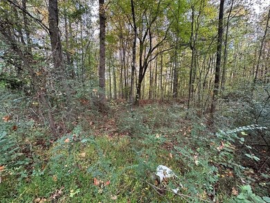 00 Villa Rica Highway 61, Dallas, GA 30157 - photo 5