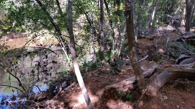 Path along creek