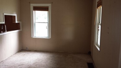 213 Elm St, Paw Paw, MI 49079 - photo 2