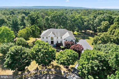 100 Ichabod Crane Ln, Belle Mead, NJ 08502 - photo 4