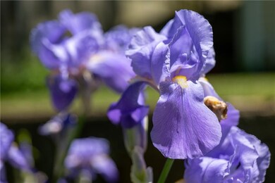 226 Hilton Rd, Warwick, RI 02889 - photo 4