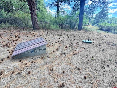 22 Blue Jay Place, Pagosa Springs, CO 81147 - photo 4