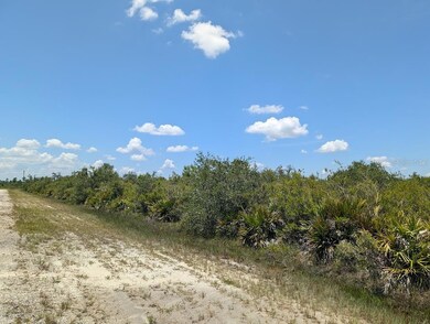 0 Sarasota Dr unit MFRTB8412151, Indian Lake Estates, FL 33855 - photo 4