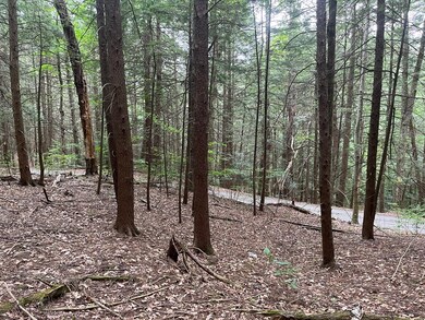 0 W Mountain Rd, Bernardston, MA 01337 - photo 7