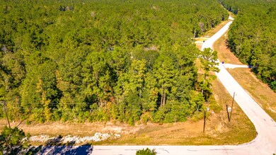 TBD Grey Feather Rd, Huntsville, TX 77340 - photo 6