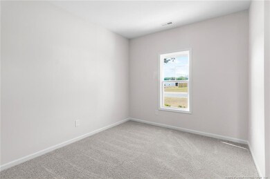 319 Palomo Place, Raeford, NC 28376 - photo 7