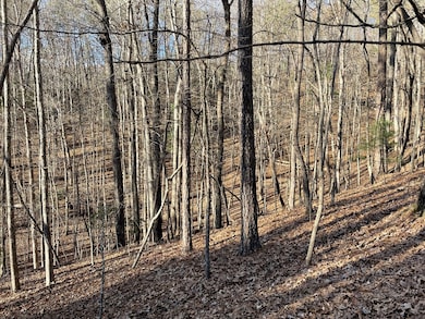 2458 Montage Dr, Ellijay, GA 30540 - photo 3