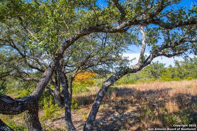 00 Scenic Loop Rd, San Antonio, TX 78255 - photo 5