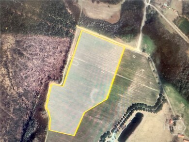 2548 Dry Dock Rd unit Tract 3, Metter, GA 30439 - photo 3