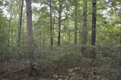 0 Mathis Cemetery Rd unit 2187275, Stewart, TN 37175 - photo 6