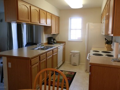 Big! Bright! Beautiful! Kitchen