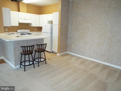 5005 Triplett Rd, Owings Mills, MD 21117 - photo 6