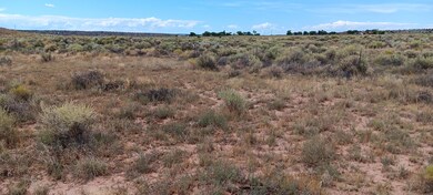 7060th, Chambers, AZ 86502 - photo 5