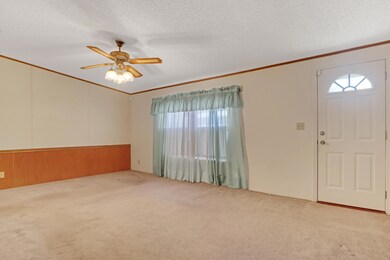 376 Robyn (9)