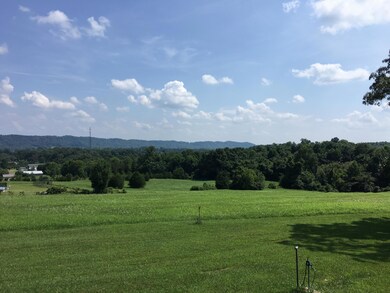 Kaileydale View