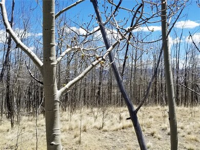 132 Grebe Ln, Como, CO 80432 - photo 3