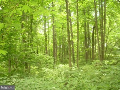 0 Cannon Ridge Ln unit 1004512532, Middleburg, VA 20117 - photo 6