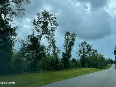 0 Bumpnose Rd unit 730126, Marianna, FL 32446 - photo 5