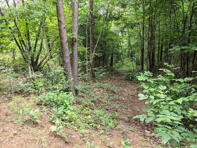 TBD Dennis Dr, Johnson City, TN 37601 - photo 2