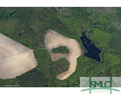 Aerial View.