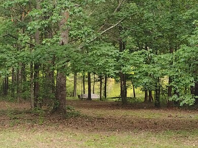 Pond