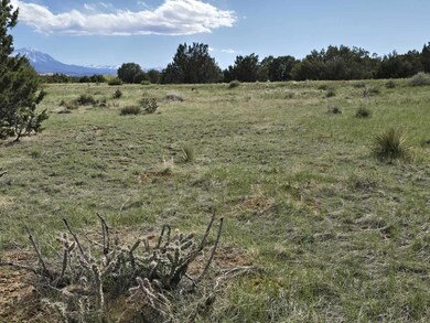 8 Tres Amigos Trail, Walsenburg, CO 81089 - photo 7