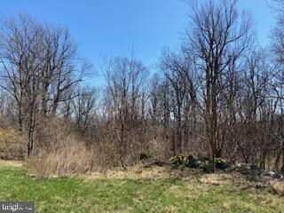 1640 Axton Ln, Linden, VA 22642 - photo 3