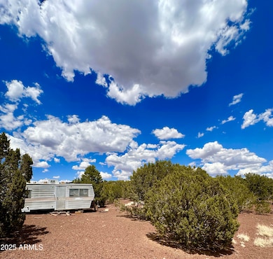 TBD County Rd, Concho, AZ 85924 - photo 4