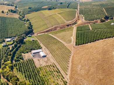 2018 Steele Rd, the Dalles, OR 97058 - photo 6