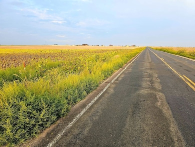 40500 E 144th Ave, Hudson, CO 80642 - photo 3