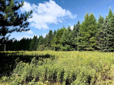 Variety of Trees