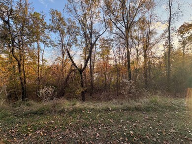 106a Calico Ct, Alberta, AL 36720 - photo 7