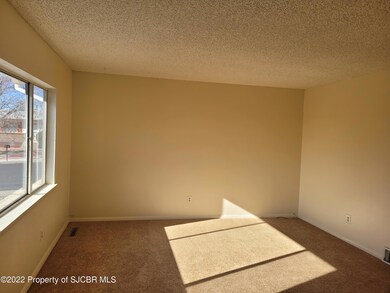 4120 Terrace Dr, Farmington, NM 87402 - photo 4