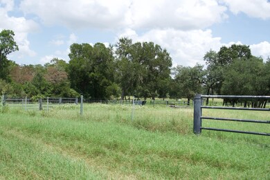 0 St Delight Rd unit 23357568, Paige, TX 78659 - photo 5