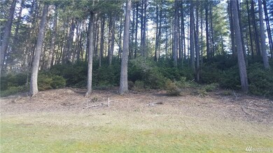 241 E Laurel Park, Union, WA 98592 - photo 3