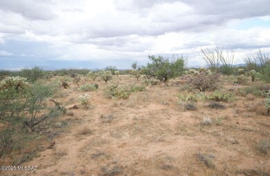 14536 W Diamond Bell Ranch Rd unit 406, Tucson, AZ 85736 - photo 3