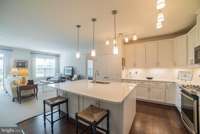 10520 Resort Rd unit 302, Ellicott City, MD 21042 - photo 2