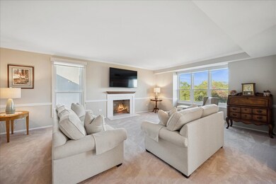 Winnetka Mews unit 402, Winnetka, IL 60093 - photo 3