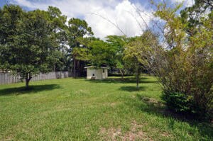Backyard Shed
