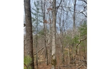 Additional View