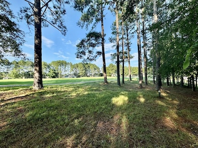 409 Grand Harbor Blvd, Ninety Six, SC 29666 - photo 6