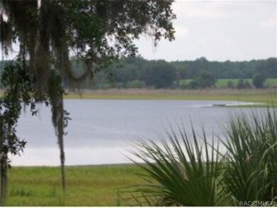 Lot 20 SW Barnacle Dr, Dunnellon, FL 34431 - photo 4