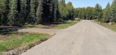 15297 N Deception Shores Cir, Willow, AK 99688 - photo 2