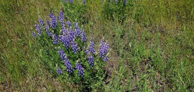 Lot 8 Lariat Loop, Thompson Falls, MT 59873 - photo 5