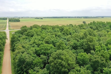 67 County Road 352, Neelyville, MO 63954 - photo 6