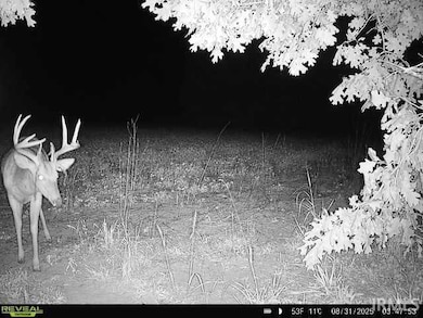 100 N 600 E, Knox, IN 46534 - photo 5