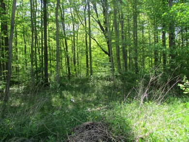 17298 River Bluff Dr, New Buffalo Township, MI 49129 - photo 3