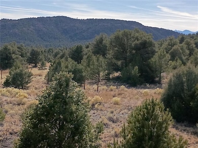 118 Porcupine Rd, Cotopaxi, CO 81223 - photo 4